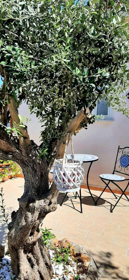 La Casetta Degli Ulivi *