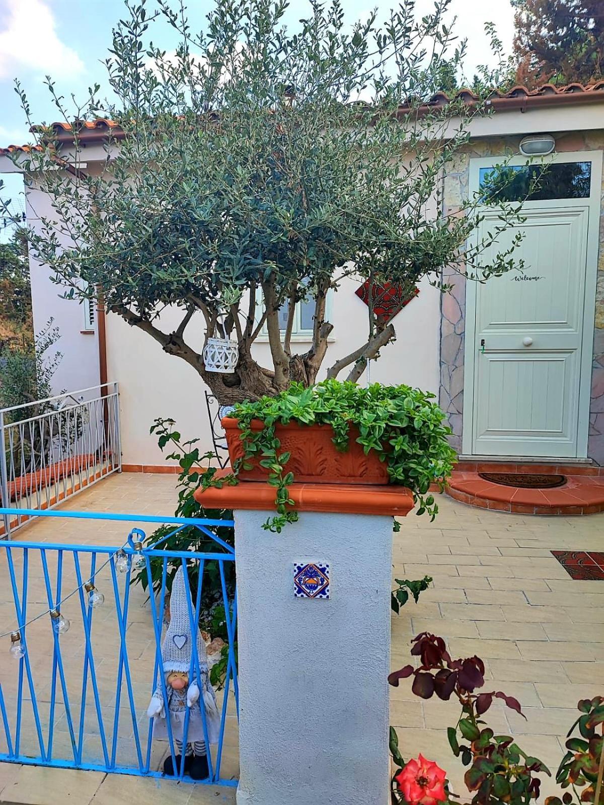 La Casetta Degli Ulivi Casa vacanze Palermo